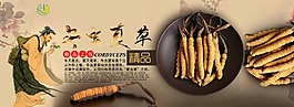 冬蟲夏草海報