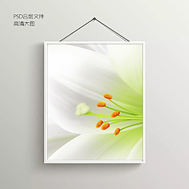 花蕊鮮花無框裝飾畫
