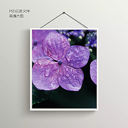 花朵露珠无框装饰画