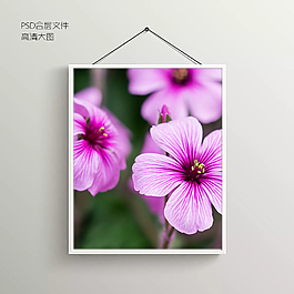花朵花蕊無框裝飾畫