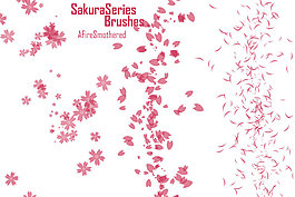 sakuraseri