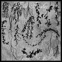 藤蔓筆刷集2