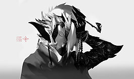 Vaider