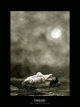 夢(mèng)想