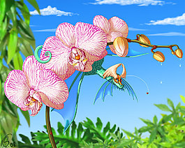 蘭花
