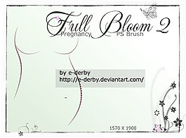 全bloom2 PS