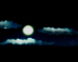Night Moon