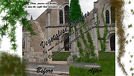 vegetalise
