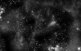 明星壁紙