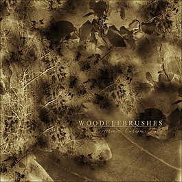 woodelfbru