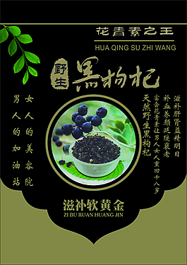 黑枸杞單頁宣傳單