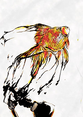 金魚(yú)