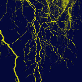 lightning_