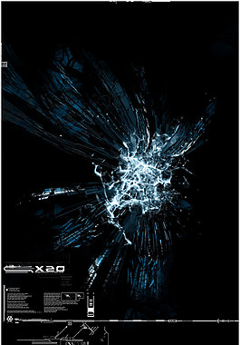 X20