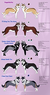 雪橇dogs_sim