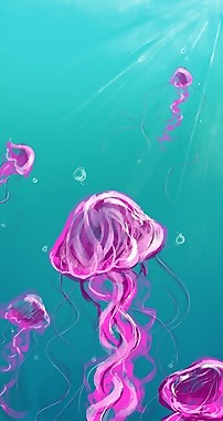 水母