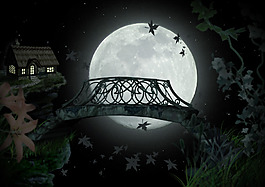 mooncottag