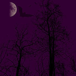 夜晚的天空