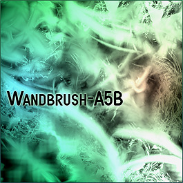 wandbrush-