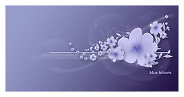 藍(lán)色的花