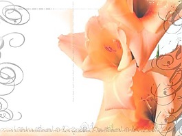 grounge花