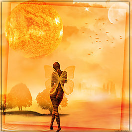 tigersun