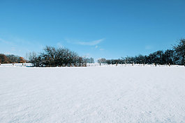 雪景的股票26