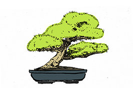 bonsai_dra