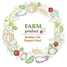 創(chuàng)意蔬菜彩色春天花邊花圈邊框