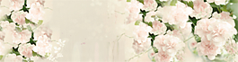電商淘寶banner海報(bào)背景清新簡(jiǎn)潔