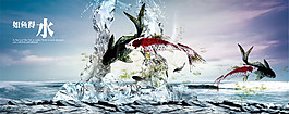 水花鯊魚(yú)裝飾畫(huà)
