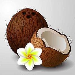 美味的椰子