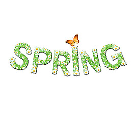 spring 花朵組合藝術(shù)字