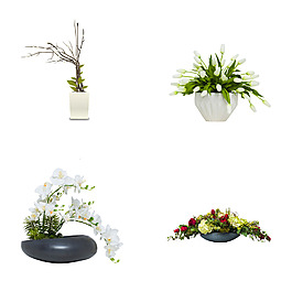 花卉盆栽實(shí)物圖