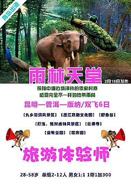 雨林天堂