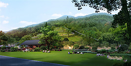 農(nóng)村綠色景觀圖