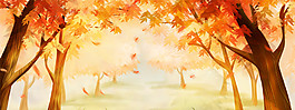 唯美枫树林banner背景图片