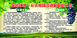 葡萄展架