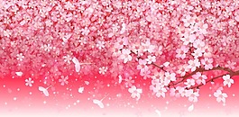 樱花背景