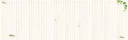 質(zhì)感簡約banner背景圖