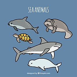 一組海洋生物動物