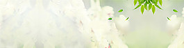 春季清新banner背景