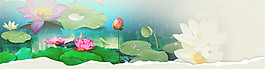 荷花banner背景