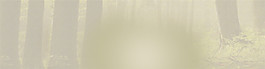 現(xiàn)代簡約風(fēng)格banner背景