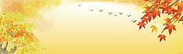 秋冬金黃楓葉背景banner