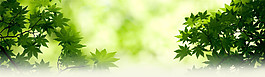現(xiàn)代簡(jiǎn)約綠色banner創(chuàng)意海報(bào)設(shè)計(jì)