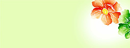 綠色植物小清新banner)