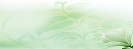 綠色植物小清新banner