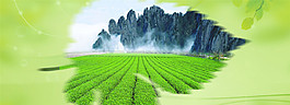 現(xiàn)代簡約綠色banner創(chuàng)意海報設(shè)計