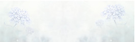 海報(bào)banner圖片